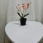 Hidden Gem 2br Apartment *