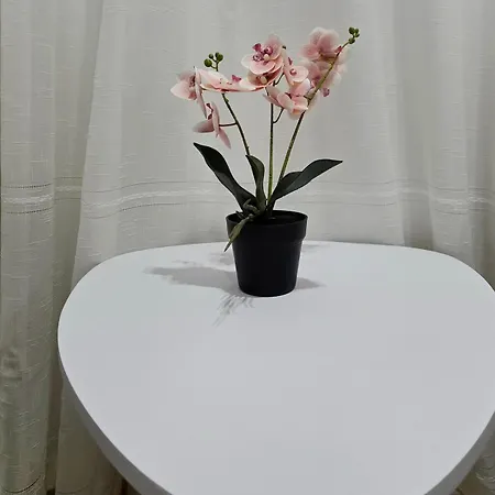 Hidden Gem 2br | 아파트 *